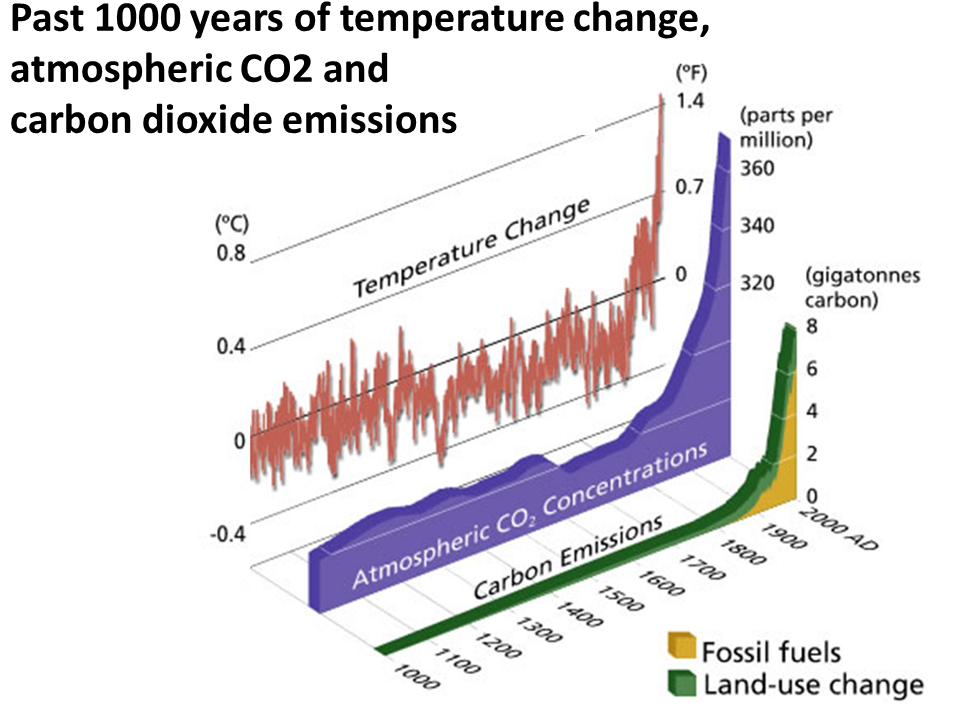 1000_years__temp_co2.png